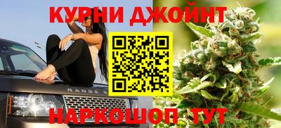 крисы Ирбит
