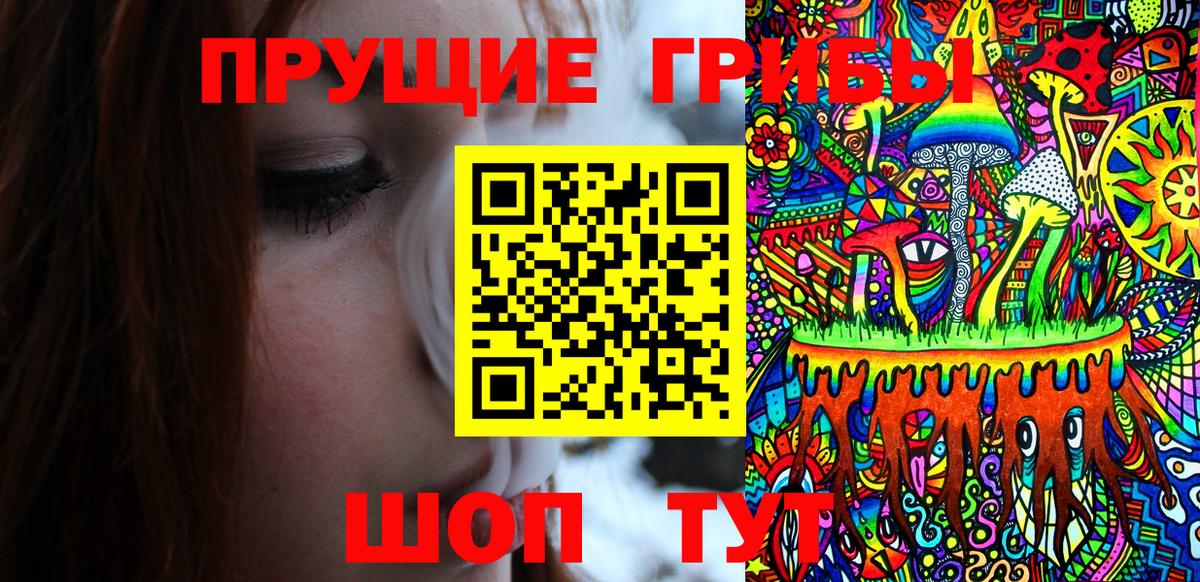 Псилоцибиновые грибы MAGIC MUSHROOMS  Вход с VPN  Краснокамск  Псилоцибиновые грибы Psilocybine cubensis 